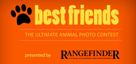 Friends Banner