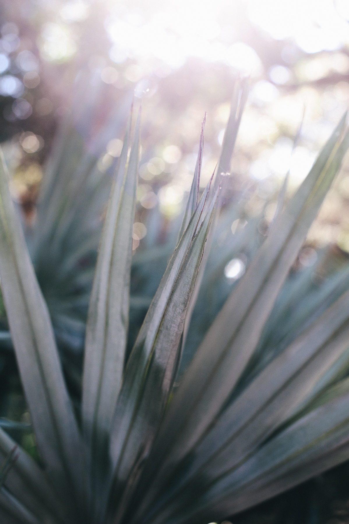 Locations with Meaning, Captured by Still55 Photography [Rf Wedding of