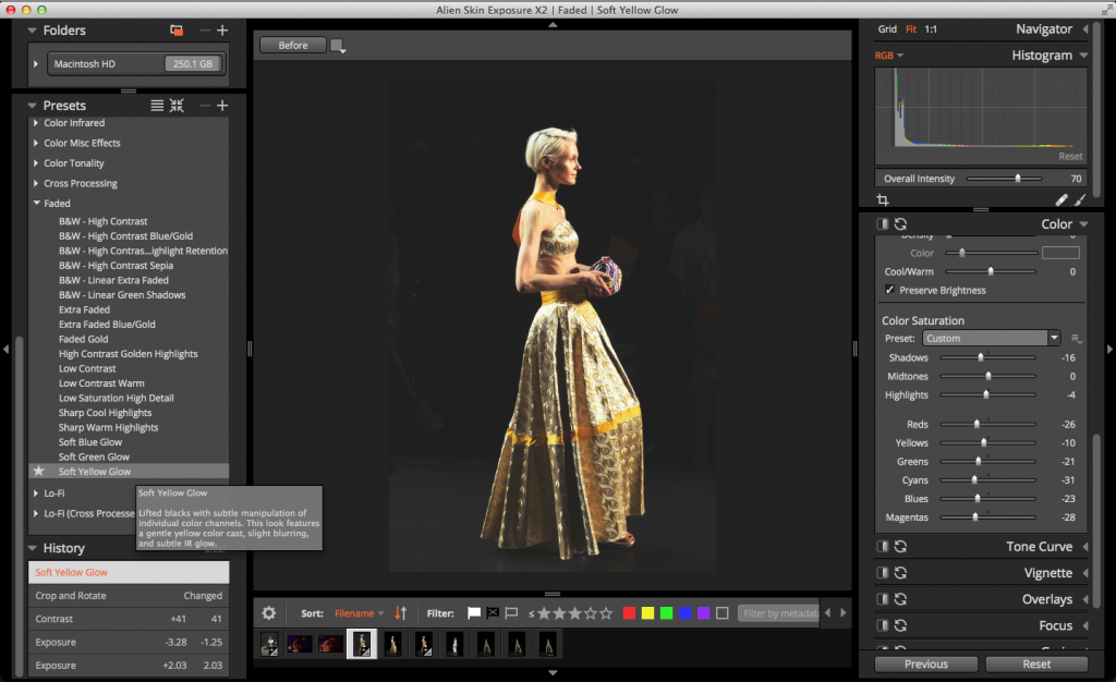 Alien Skin Exposure X2 buy online