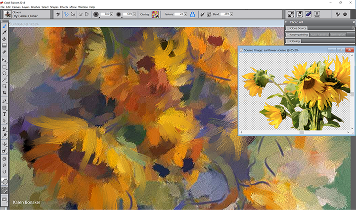 paint corel paint corel