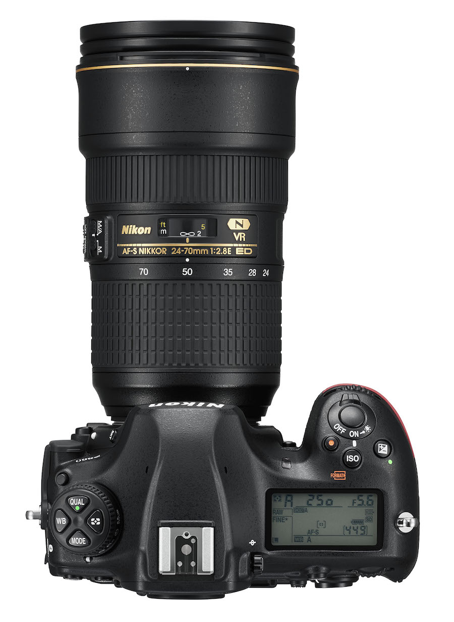 Nikon D500 Uncropped Versus D850 Cropped Shot Comparison Nikon D500 Uncropped Versus D850 Cropped Shot Comparison