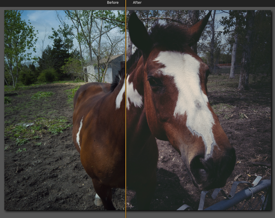 before and after LUT application in photography filmmaking editing