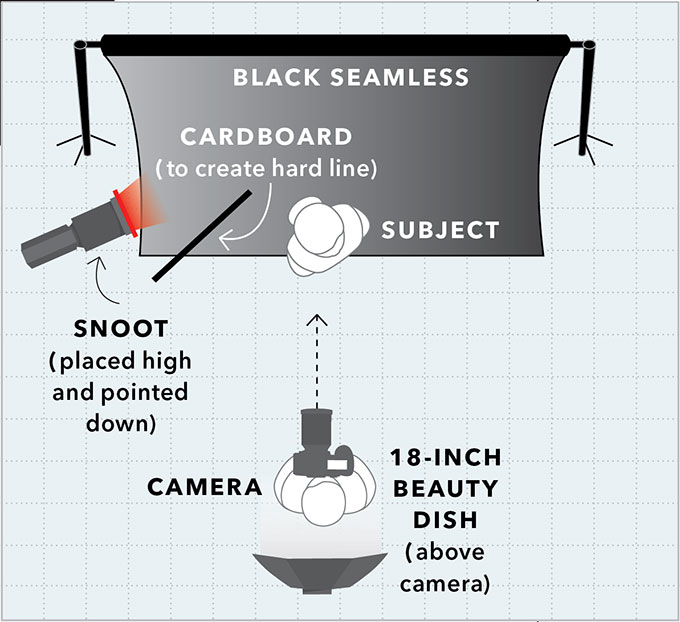 Seamless backdrop chart
