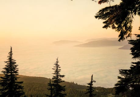 Building a Thriving Photography Business in a Small Market