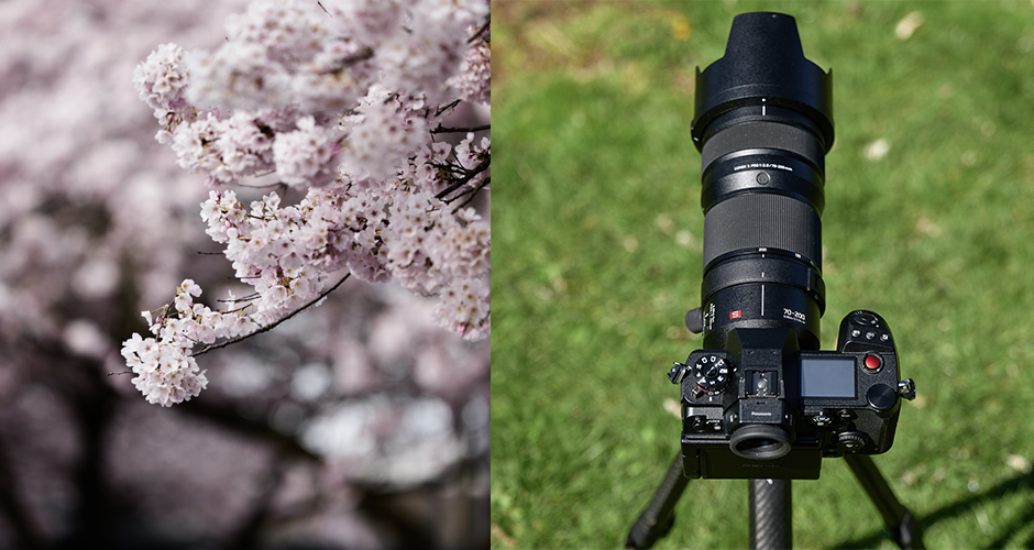 panasonic 200mm lens