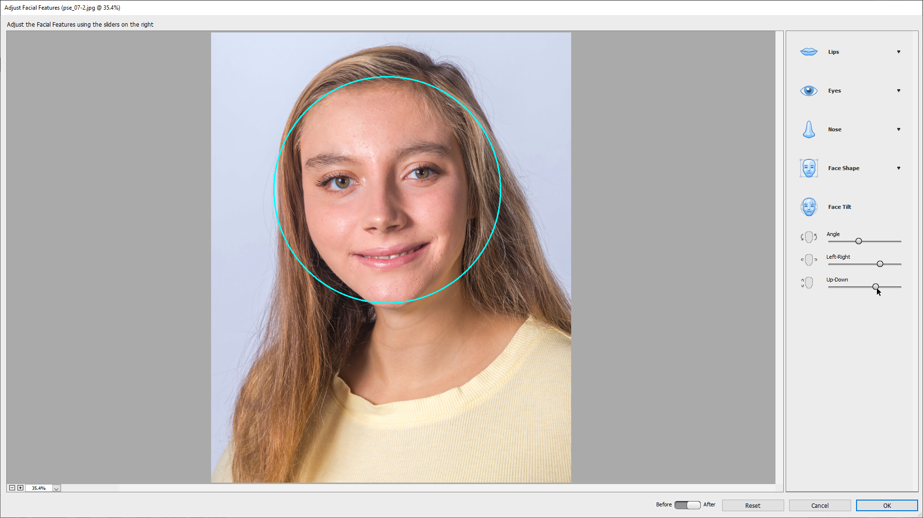 adobe photoshop elements 2021 test adobe photoshop elements 2021 test