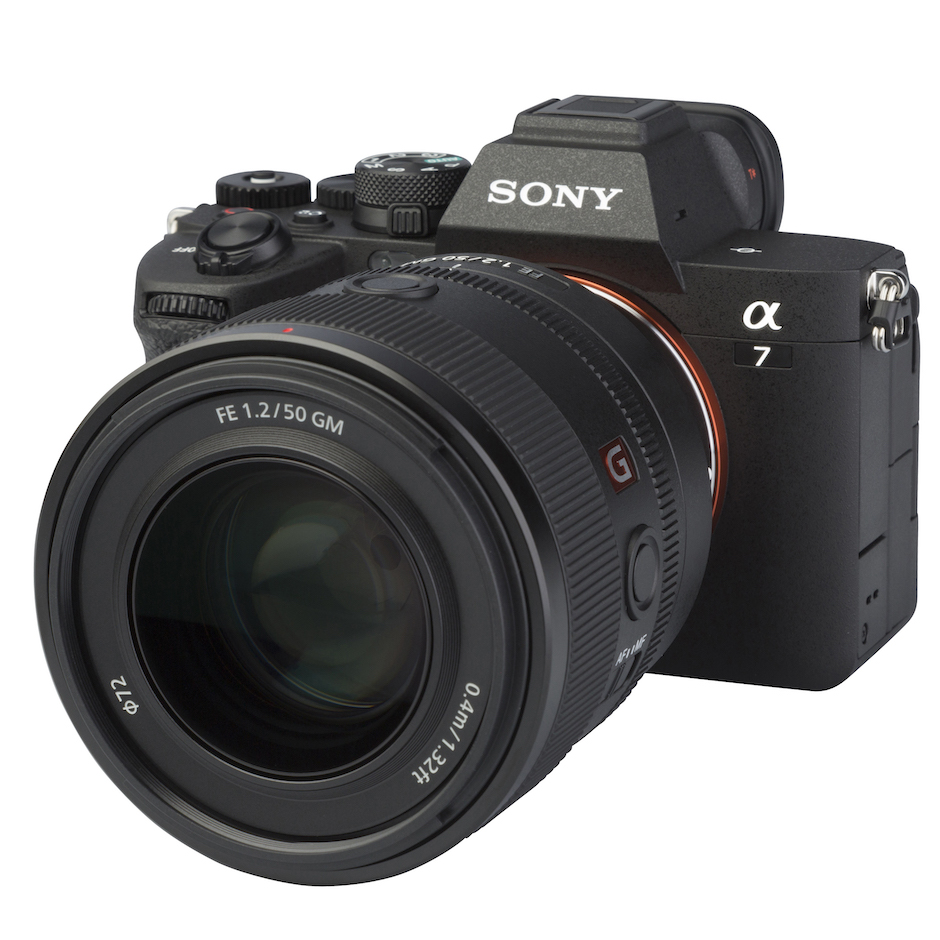 sony ilce