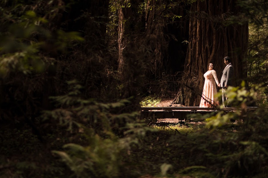 bride and groom in sunlight in nature.