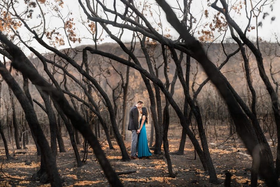 leaning trees around couple