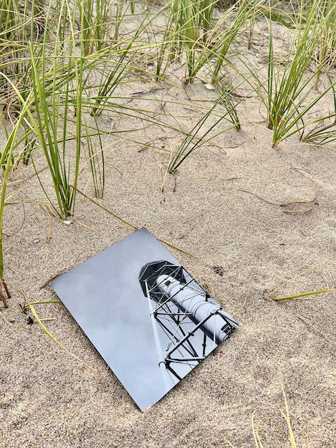 metal prints sold for raising money from hurricane Ian destruction.